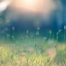 homepage_slider_1.jpg
