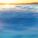 homepage_slider_2.jpg